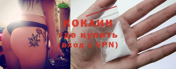 дживик Карпинск