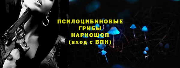герыч Алексин