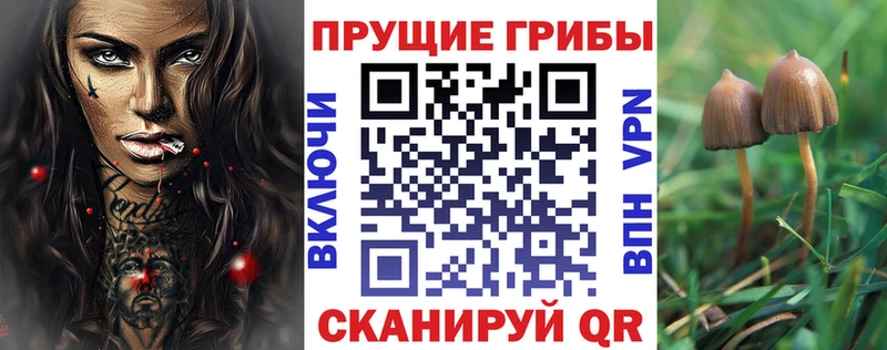 Псилоцибиновые грибы прущие грибы  наркотики  ссылка на мегу ТОР  Лысково 
