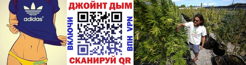 Бошки Шишки SATIVA & INDICA Лысково